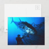 De reuzenblauwvintonijn die in een Net wordt gevan Briefkaart (Voorkant / Achterkant)