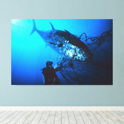 De reuzenblauwvintonijn die in een Net wordt gevan Canvas Afdruk (Insitu (Houten vloer))