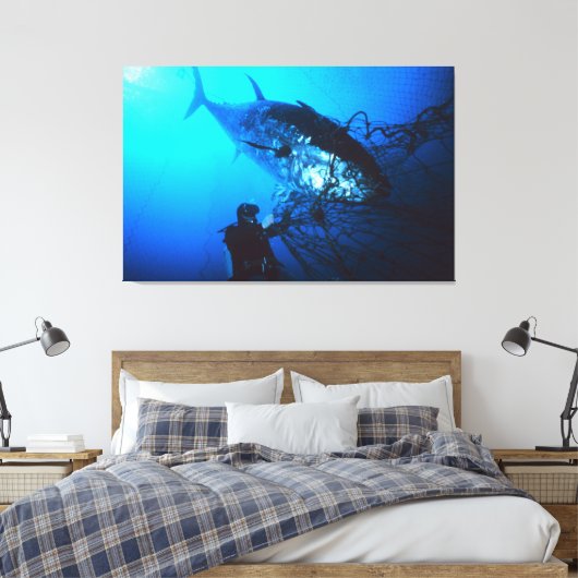 De reuzenblauwvintonijn die in een Net wordt gevan Canvas Afdruk (Insitu (Slaapkamer))