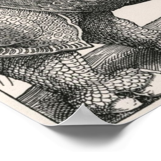 De Rhino Poster (Hoek)