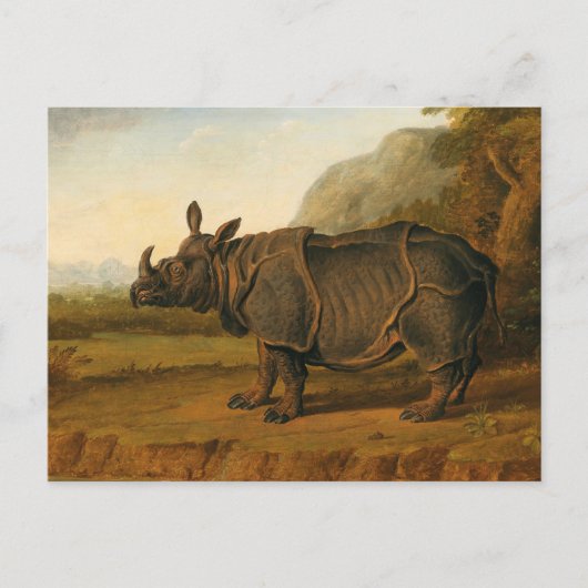 De Rhinoceros Clara van Jean-Baptiste Oudry Briefkaart (Voorkant)
