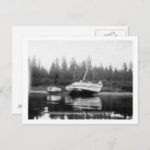 De Rhododendron op de Quillayute River Briefkaart (Voorkant / Achterkant)