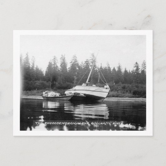 De Rhododendron op de Quillayute River Briefkaart (Voorkant)