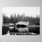 De Rhododendron op de Quillayute River Poster (Voorkant)