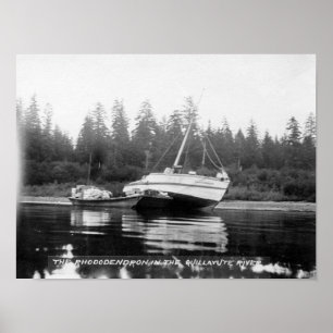 De Rhododendron op de Quillayute River Poster