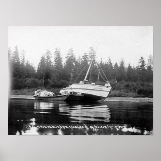De Rhododendron op de Quillayute River Poster (Voorkant)