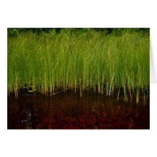 De Ridges Sanctuary