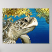 De Ridley Zee Turtle van Kemp met stijl Poster (Voorkant)
