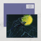 de rij briefkaart (Voorkant / Achterkant)