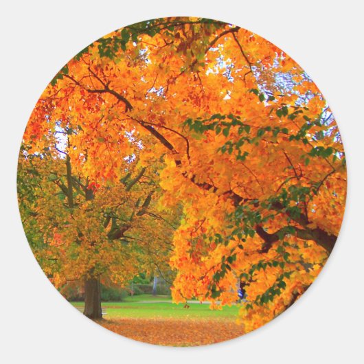 De rijkdom van de herfst ronde sticker (Voorkant)
