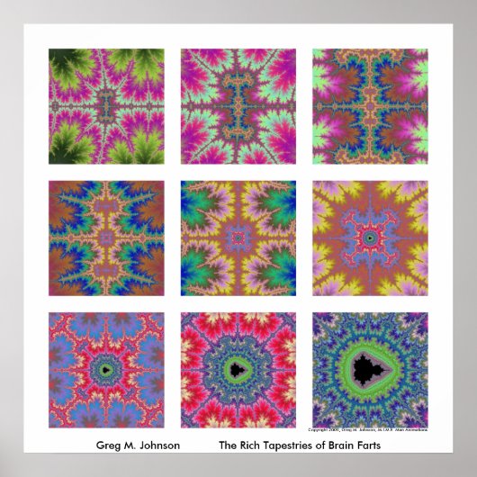 De rijke tapisserieën van breinkunst poster (Voorkant)