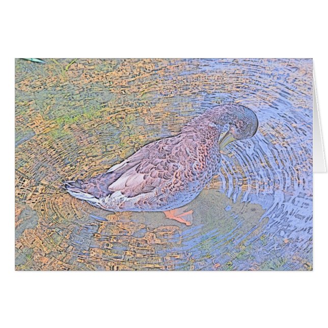 De rimpels (Voorkant Horizontaal)