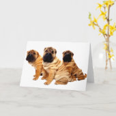 De rimpels zijn Mooi Wenskaart Kaart (Gele Bloem)