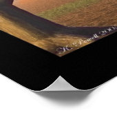 De ring poster (Hoek)