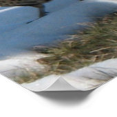 De Ringnek-fazant Poster (Hoek)