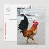 De ringweg kruiste de weg briefkaart (Voorkant / Achterkant)