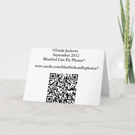 De Rit van de Ar van New England, de Kaart van de (Achterkant)