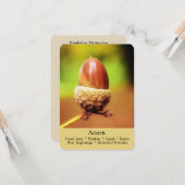 De Ritual, Divination & Healing Cards - Acorn Kaart (Voorkant / Achterkant in situ)