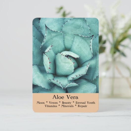De Ritual, Divination & Healing Cards - Aloe Vera Kaart (Staand voorkant)