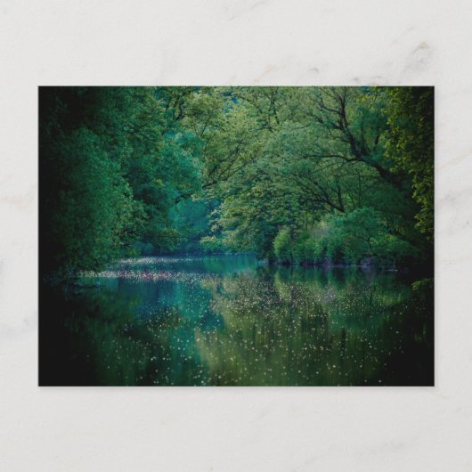 De rivier ・ Briefkaart (Voorkant)