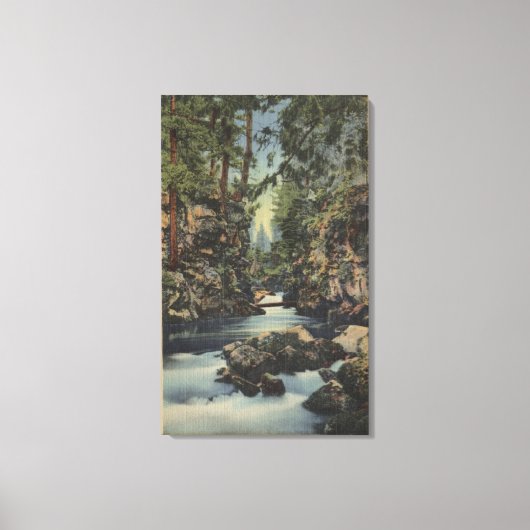 De rivier de Rogue, Oregon - Uitzicht van de boven Canvas Afdruk (Voorkant)
