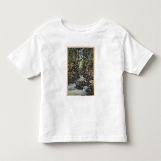 De rivier de Rogue, Oregon - Uitzicht van de boven Kinder Shirts (Voorkant)