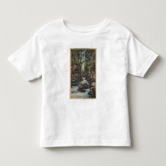 De rivier de Rogue, Oregon - Uitzicht van de boven Kinder Shirts (Voorkant)