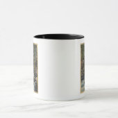 De rivier de Rogue, Oregon - Uitzicht van de boven Mok (Midden)