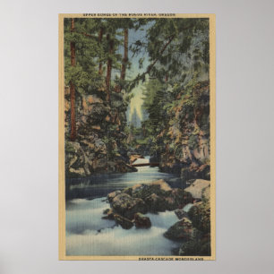 De rivier de Rogue, Oregon - Uitzicht van de boven Poster