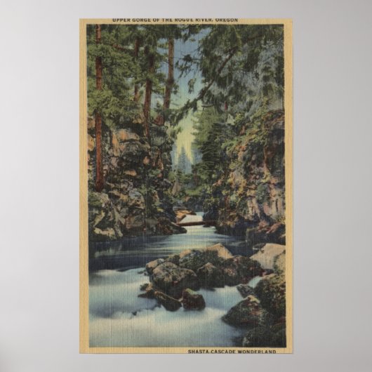 De rivier de Rogue, Oregon - Uitzicht van de boven Poster (Voorkant)