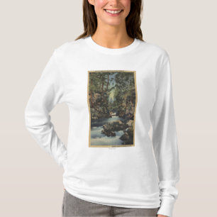 De rivier de Rogue, Oregon - Uitzicht van de boven T-shirt