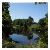 De rivier de Tioga Poster (Voorkant)