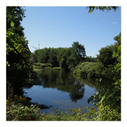 De rivier de Tioga Poster (Voorkant)