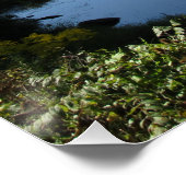 De rivier de Tioga Poster (Hoek)