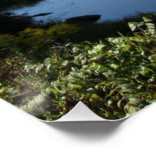 De rivier de Tioga Poster (Hoek)