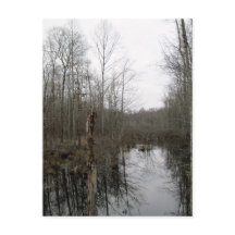 De rivier door de wilde natuur