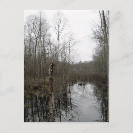 De rivier door de wilde natuur briefkaart