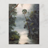 De Rivier Florida van Tomoka Briefkaart (Voorkant)