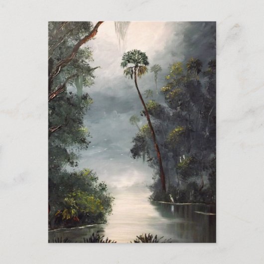 De Rivier Florida van Tomoka Briefkaart (Voorkant)