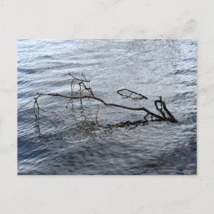 De rivier, het stilleven briefkaart