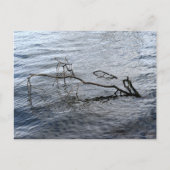 De rivier, het stilleven briefkaart (Voorkant)