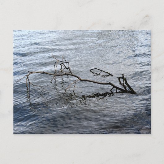 De rivier, het stilleven briefkaart (Voorkant)