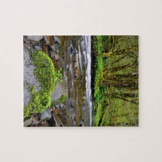 De rivier in het groene bos, Oregon Legpuzzel (Horizontaal)