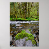 De rivier in het groene bos, Oregon Poster (Voorkant)