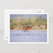 de rivier overschrijden briefkaart (Voorkant / Achterkant)