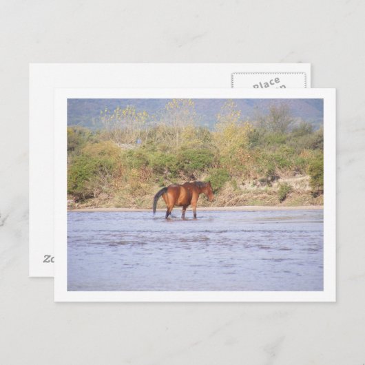 de rivier overschrijden briefkaart (Voorkant / Achterkant)