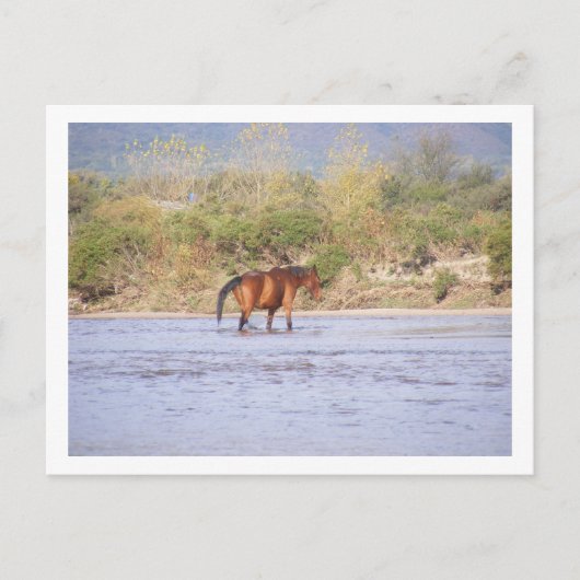 de rivier overschrijden briefkaart (Voorkant)