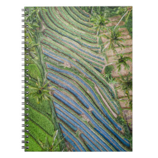 De rivier tussen het schilderen van kokosbomen notitieboek
