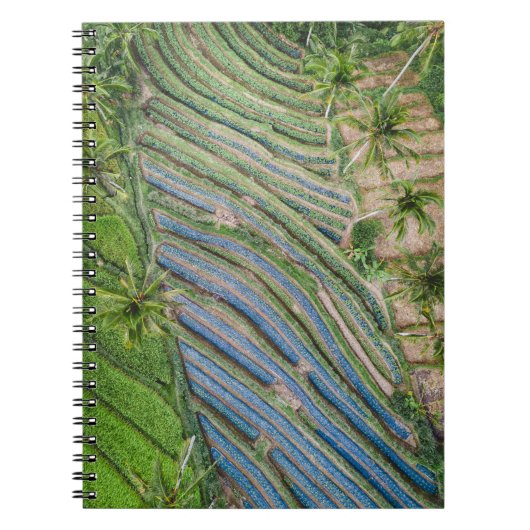 De rivier tussen het schilderen van kokosbomen notitieboek (Voorkant)