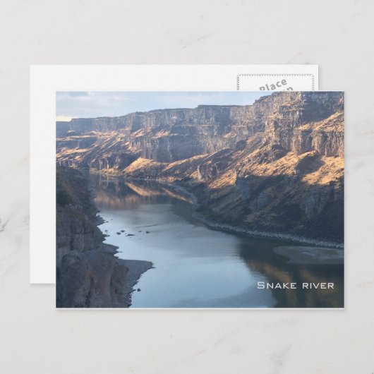 De rivier van de slang briefkaart (Voorkant / Achterkant)